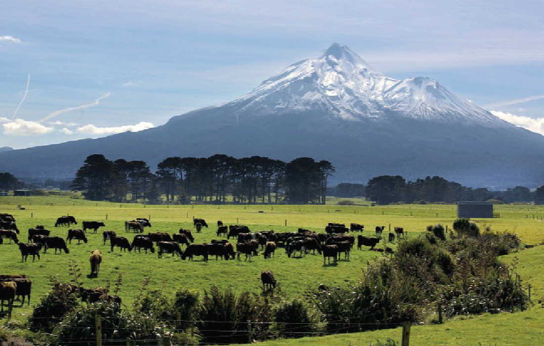 Taranaki Riding The Water Quality Wave